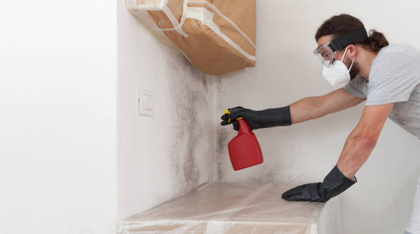 Professional Mold Remediation technician working in Schoolcraft, MI