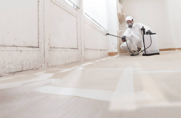 24/7 Emergency Mold Remediation experts in Schoolcraft, MI