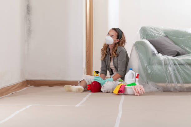 Reliable Mold Remediation contractor in Schoolcraft, MI by 24 Hour Mold Removal