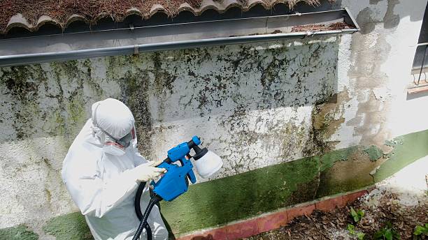 Top rated local Mold Remediation specialists in Schoolcraft, MI